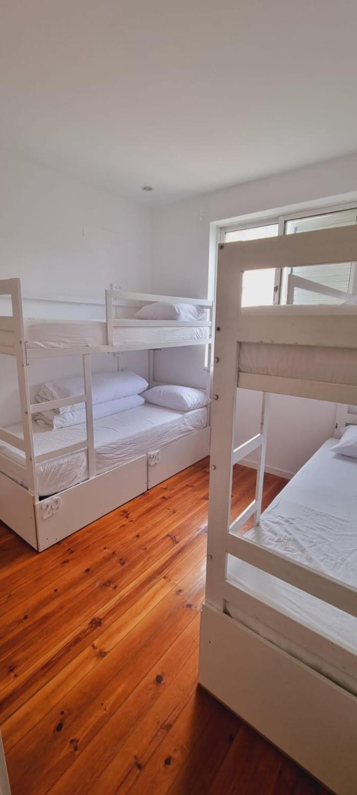 Owls Hostel Ribeiro Porto Zewnętrze zdjęcie